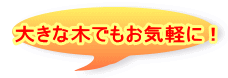 大きな木でもお気軽に!